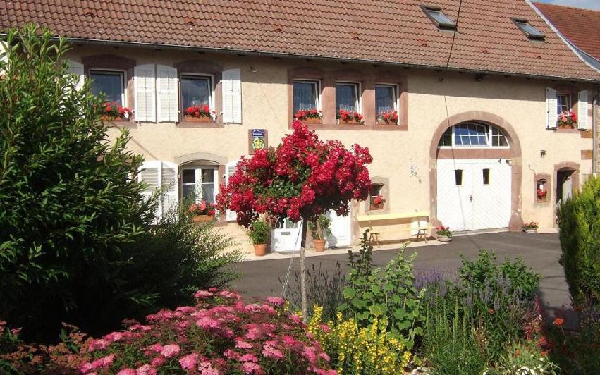 Chambre D'Hote Au Grenier D'Abondance Niderviller Luaran gambar